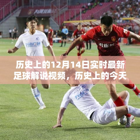 优秀课例 第319页