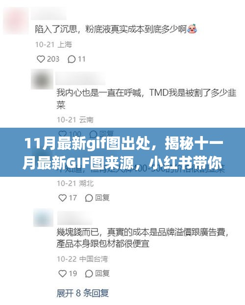 揭秘十一月最新GIF图来源，小红书带你玩转潮流前线
