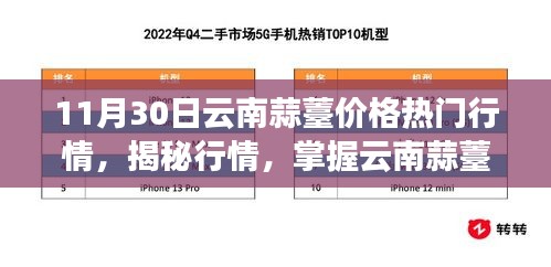优秀课例 第546页