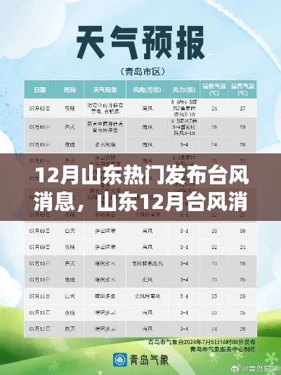 山东发布十二月台风消息，如何快速获取并应对台风预警信息？