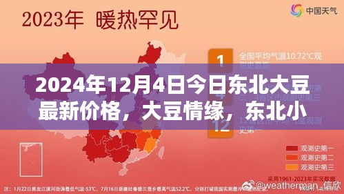 东北大豆最新价格揭秘，小镇情缘与温馨价格探秘，2024年大豆市场动态