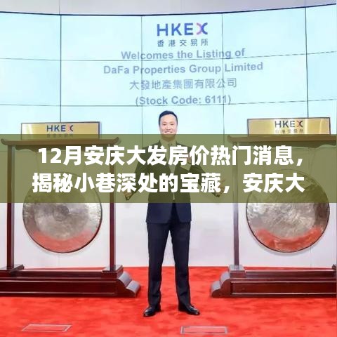 揭秘安庆大发房价新动态，小巷深处的宝藏与独特小店故事