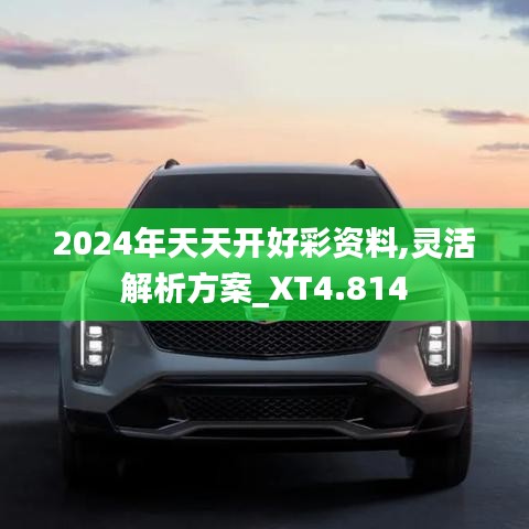 2024年天天开好彩资料,灵活解析方案_XT4.814