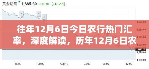 历年12月6日农行汇率深度解读与趋势预测——我的观点分享