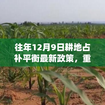 科技革新下的耕地占补平衡新政策与智能耕地助手，重塑农业生态体验之旅重磅推出！