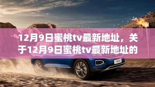关于涉黄问题的探讨，蜜桃tv最新地址及其观点阐述