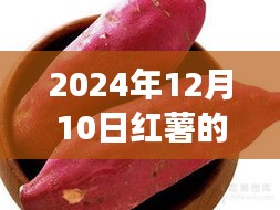 驾轻就熟 第2页