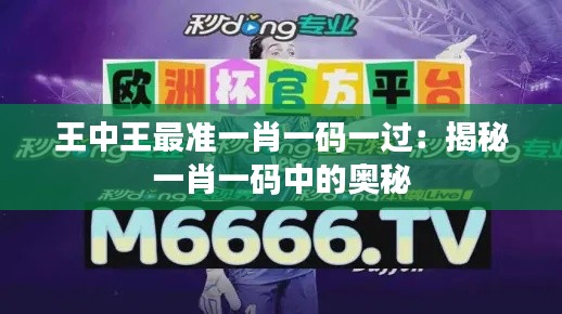 王中王最准一肖一码一过：揭秘一肖一码中的奥秘
