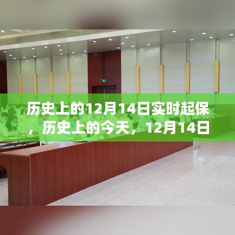 莺啼鸟啭 第2页