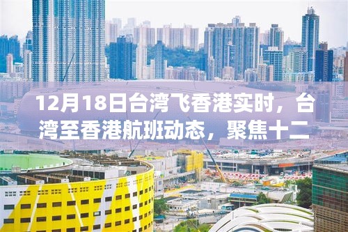 台湾飞往香港航班动态，聚焦十二月十八日的实时飞行与各方观点