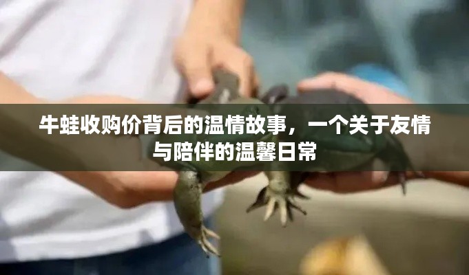 教程参考 第240页