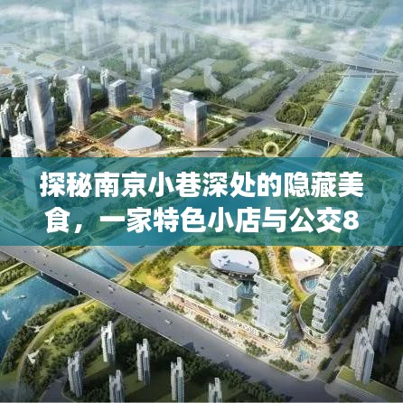 南京小巷美食探秘，公交838与特色小店的奇妙邂逅