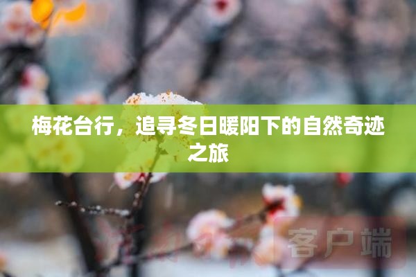 飞龙在天 第2页