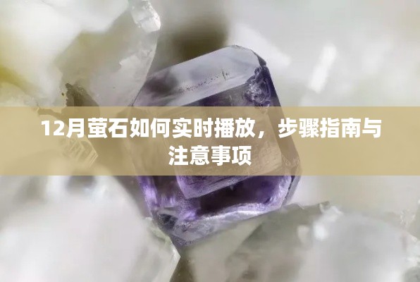 12月萤石实时播放教程，步骤详解与注意事项