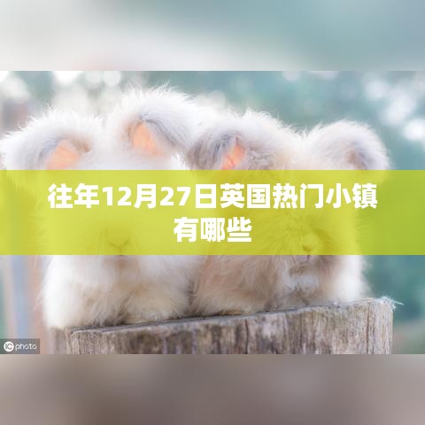 云龙井蛙 第2页
