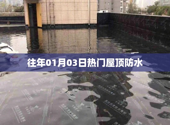 打张鸡儿 第2页