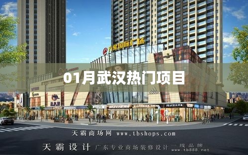 武汉一月份热门项目盘点