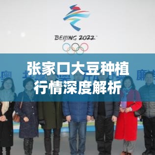 新闻动态 第153页