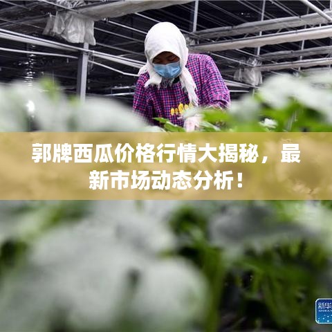 伤弓之鸟 第2页