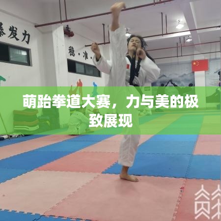萌跆拳道大赛，力与美的极致展现