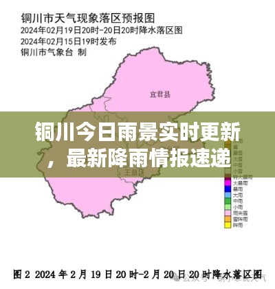 一心一意 第2页