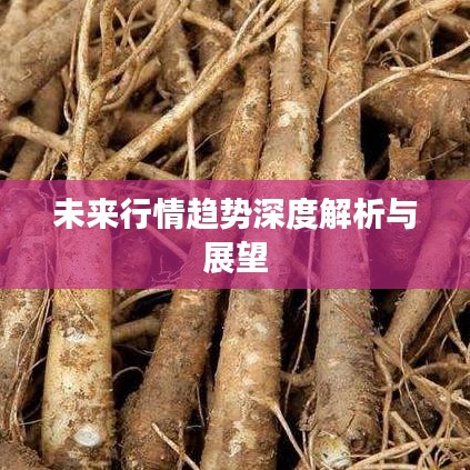 风韵犹存 第2页