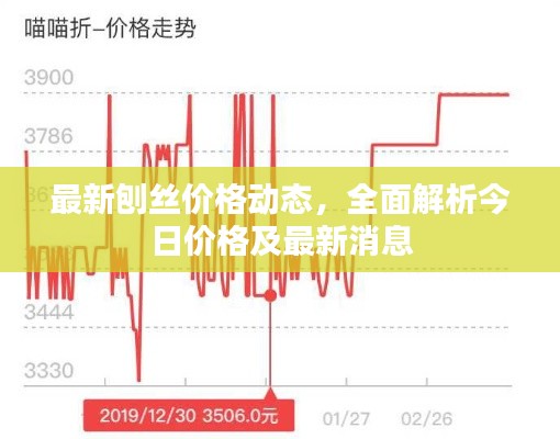 最新刨丝价格动态，全面解析今日价格及最新消息