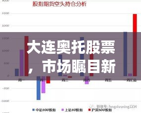大连奥托股票，市场瞩目新焦点