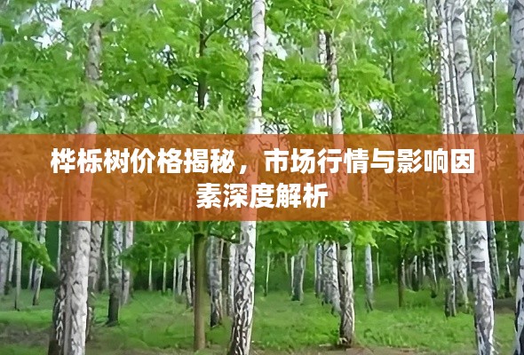 桦栎树价格揭秘，市场行情与影响因素深度解析