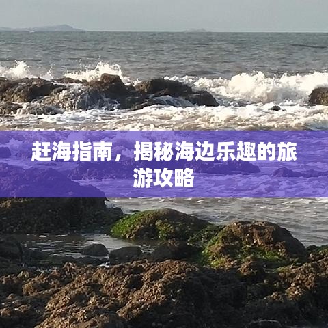 赶海指南，揭秘海边乐趣的旅游攻略