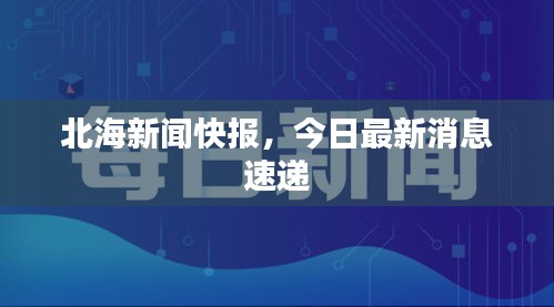 北海新闻快报，今日最新消息速递