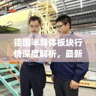 飞扬拨扈