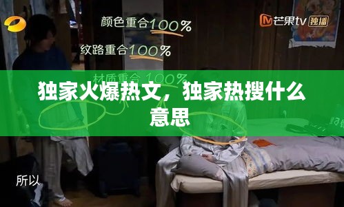 龙飞九五
