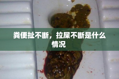 教程参考 第20页