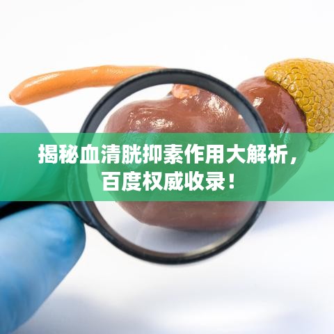 夸夸其谈