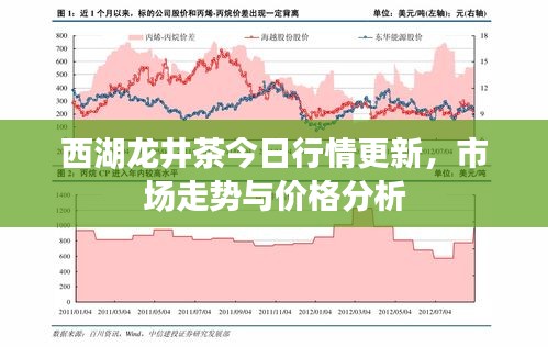 西湖龙井茶今日行情更新，市场走势与价格分析