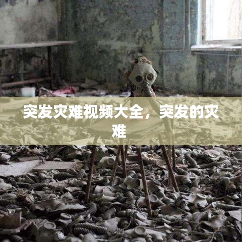 打张鸡儿