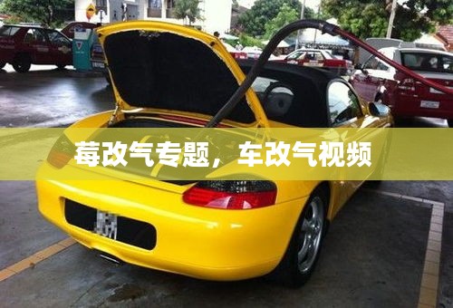 莓改气专题，车改气视频 