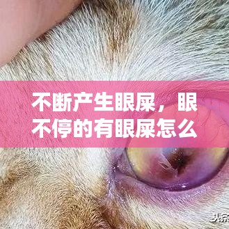 不断产生眼屎，眼不停的有眼屎怎么回 