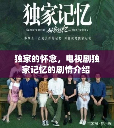 独家的怀念，电视剧独家记忆的剧情介绍 
