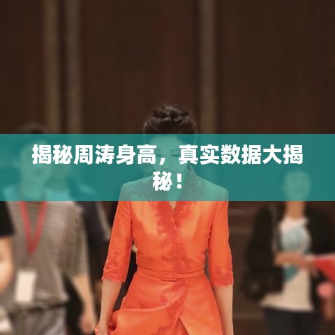 揭秘周涛身高，真实数据大揭秘！