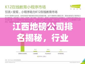 江西地磅公司排名揭秘，行业深度分析与市场概览