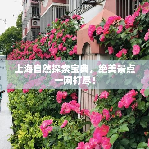 上海自然探索宝典，绝美景点一网打尽！