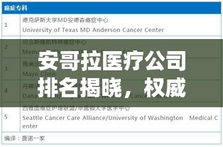 安哥拉医疗公司排名揭晓，权威榜单揭秘顶级医疗机构！