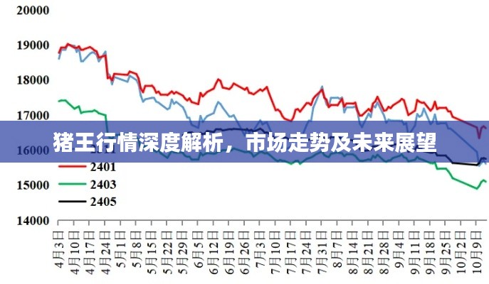 猪王行情深度解析，市场走势及未来展望