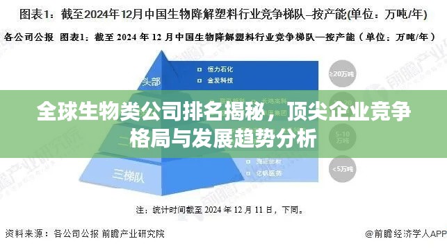 全球生物类公司排名揭秘，顶尖企业竞争格局与发展趋势分析