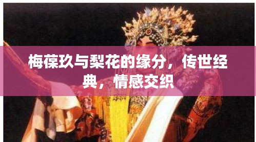 梅葆玖与梨花的缘分，传世经典，情感交织