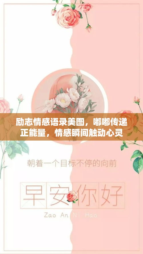 2025年5月16日