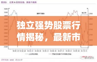 独立强势股票行情揭秘，最新市场动向深度解读