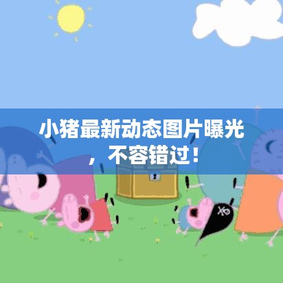 小猪最新动态图片曝光，不容错过！